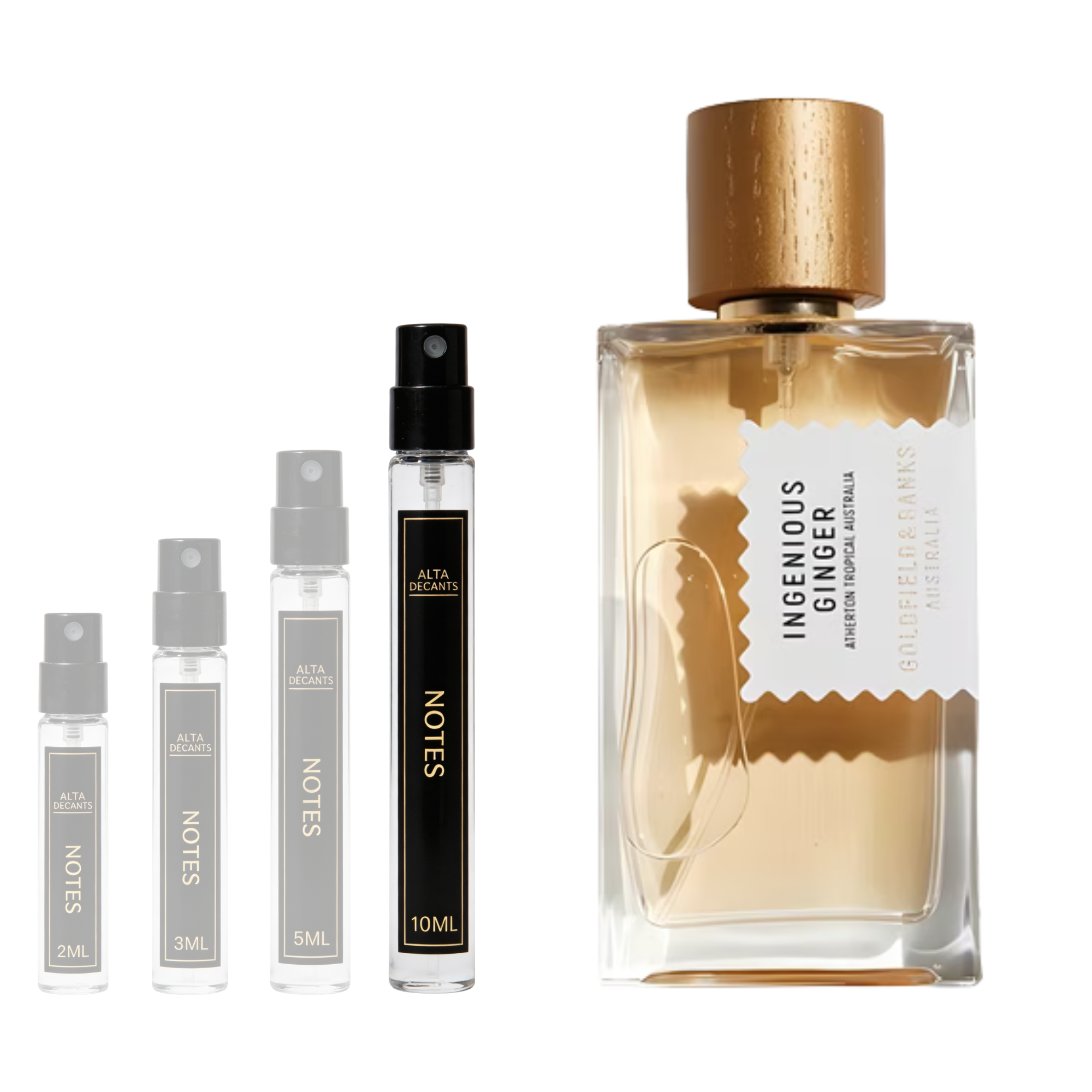Goldfield & Banks Australia Ingenious Ginger