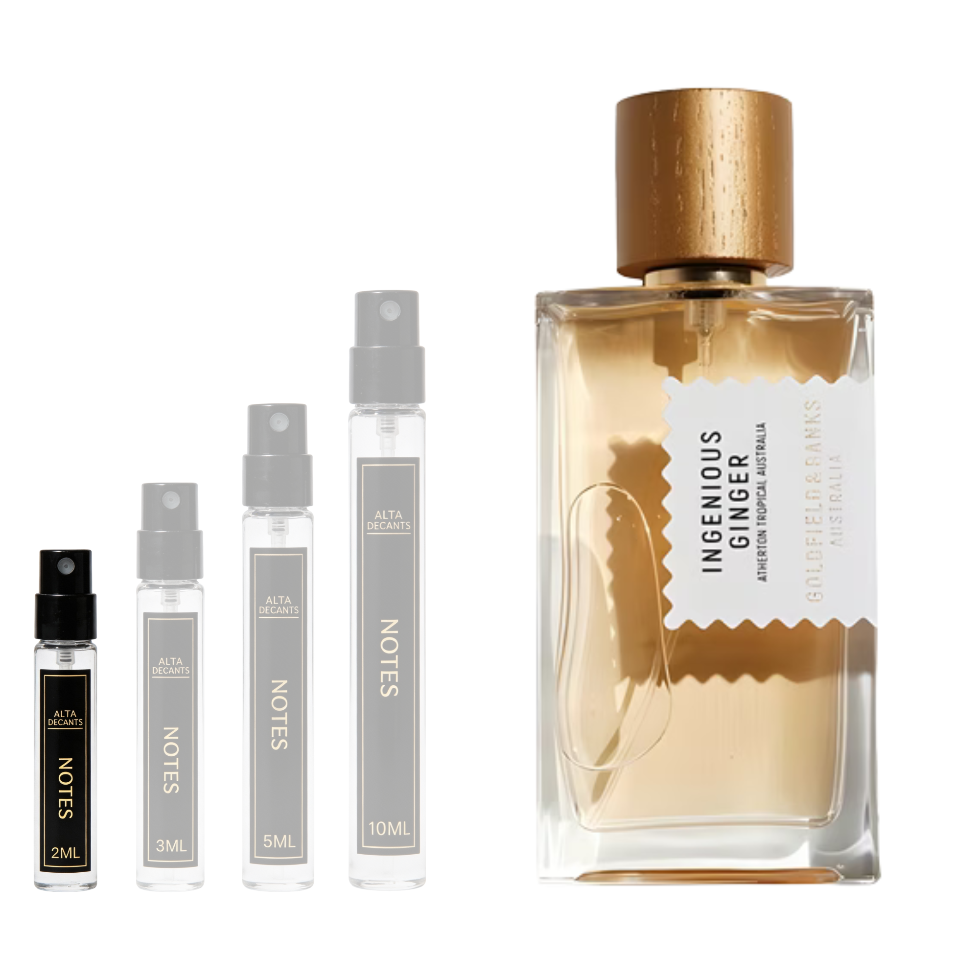 Goldfield & Banks Australia Ingenious Ginger