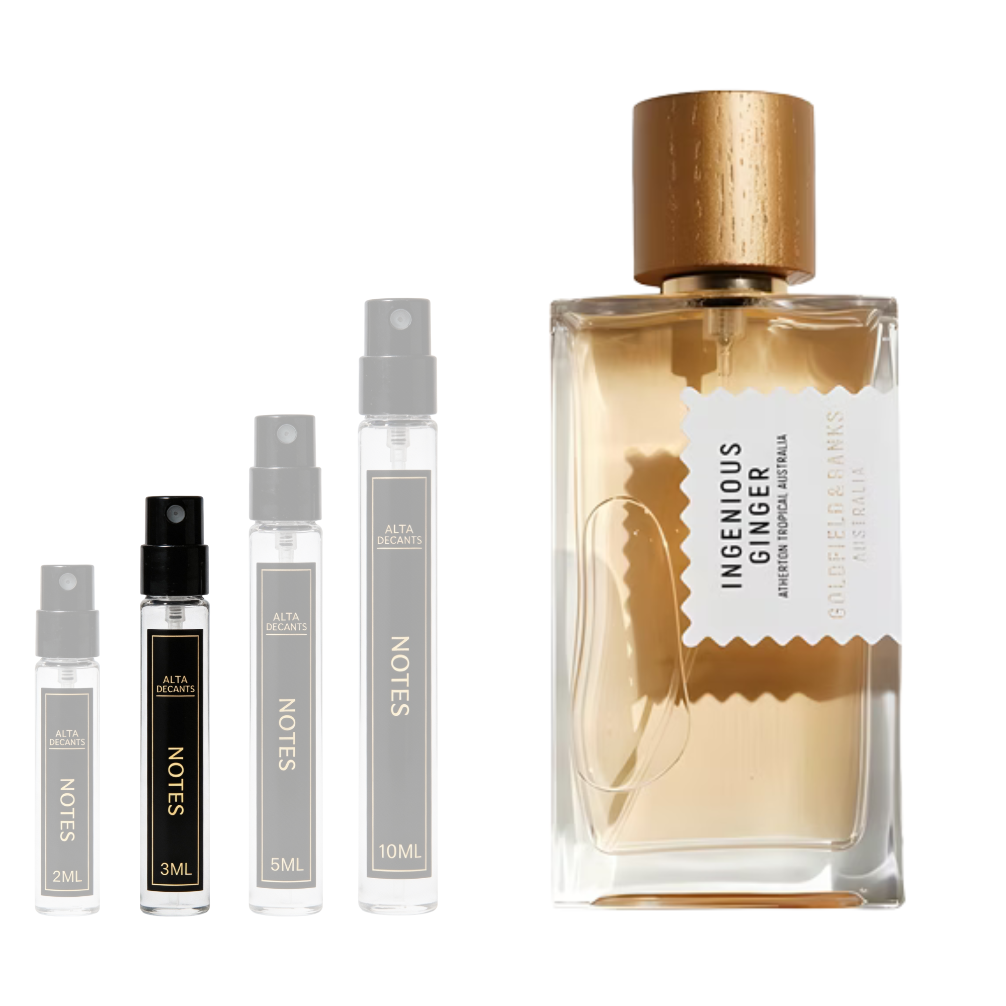 Goldfield & Banks Australia Ingenious Ginger