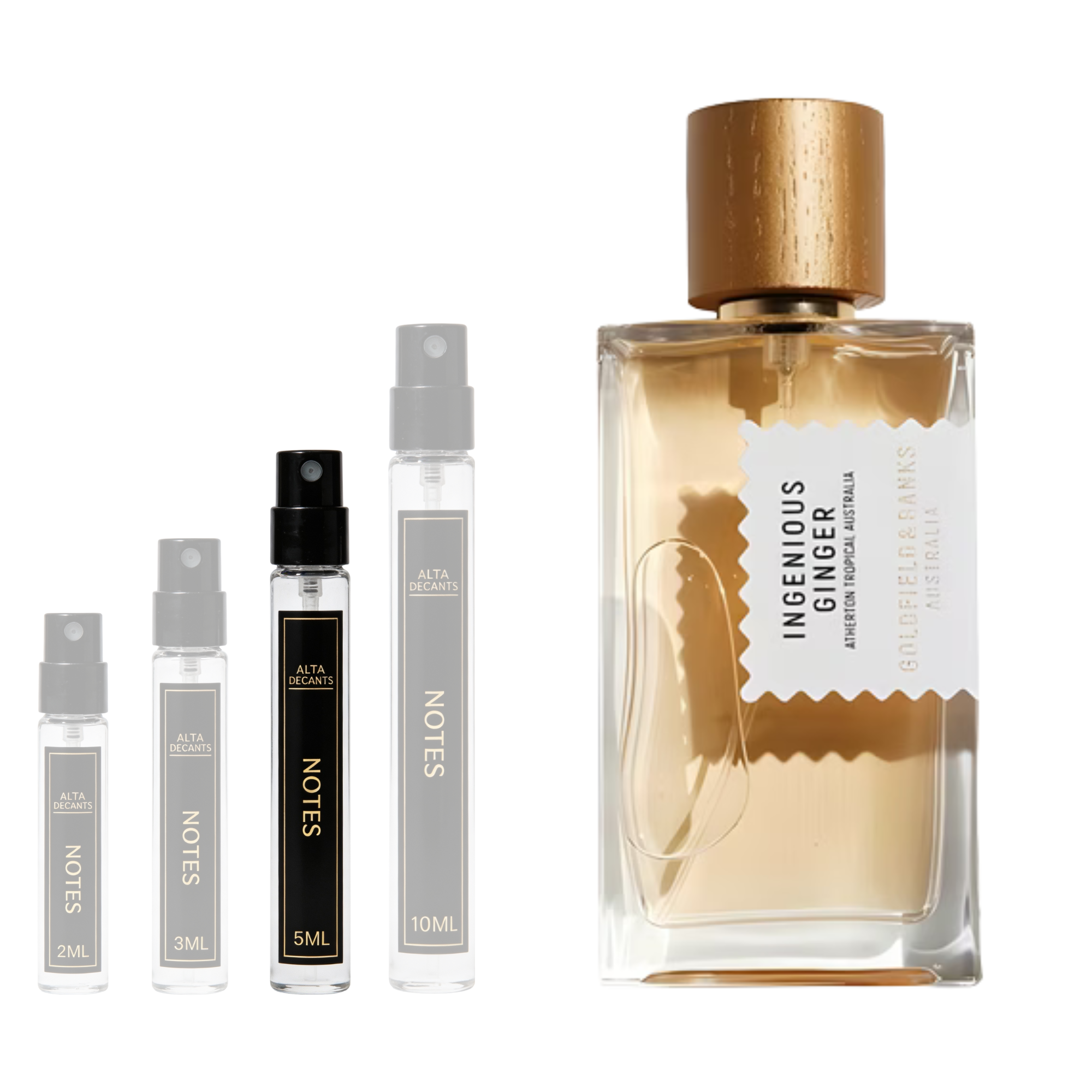 Goldfield & Banks Australia Ingenious Ginger