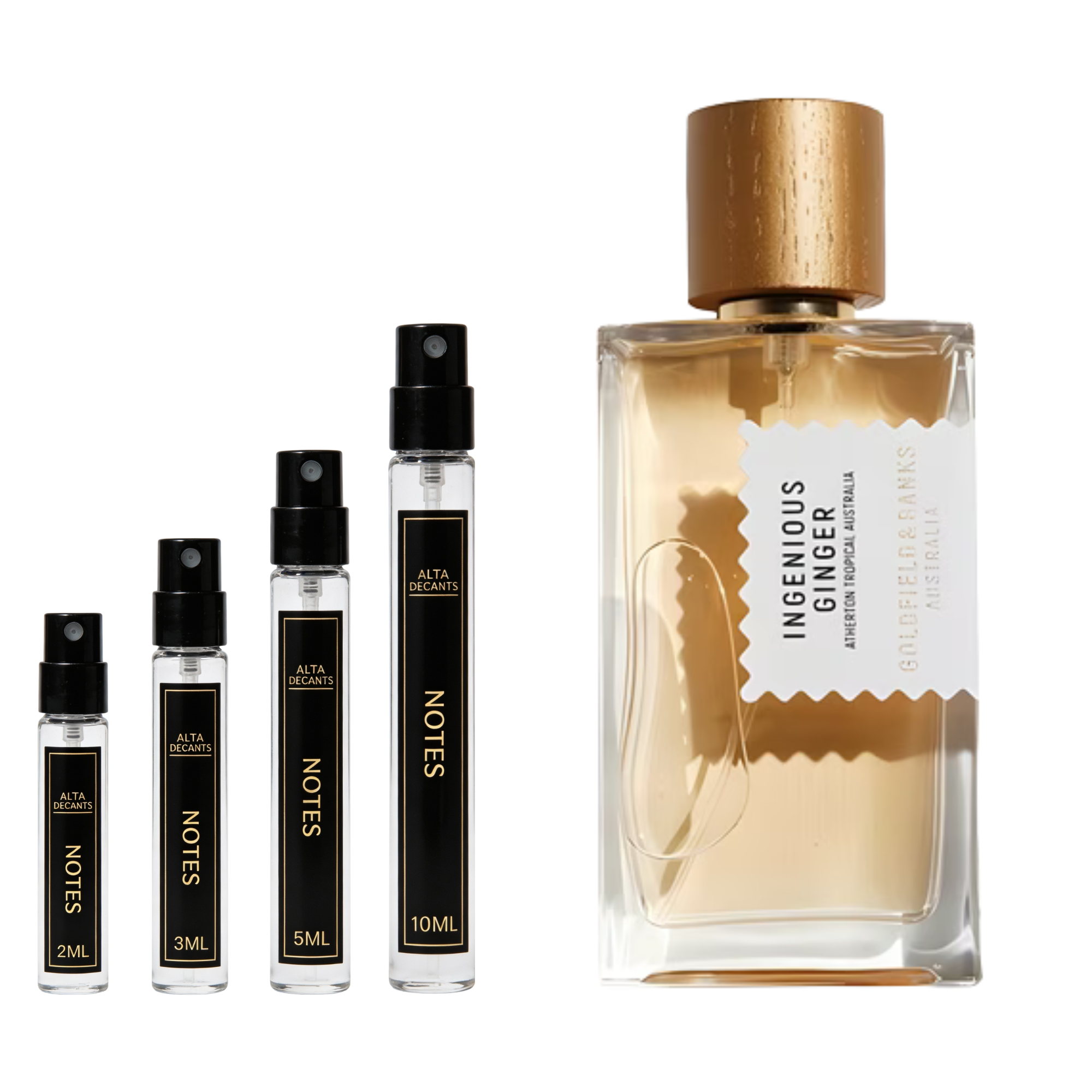 Goldfield & Banks Australia Ingenious Ginger