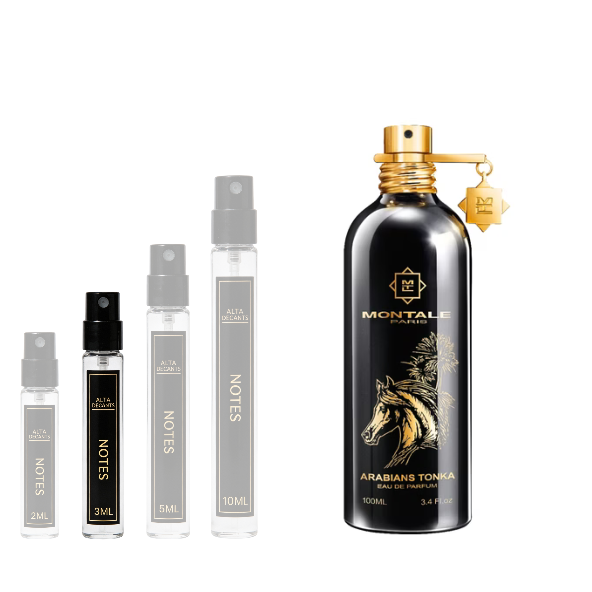 Montale Arabians Tonka