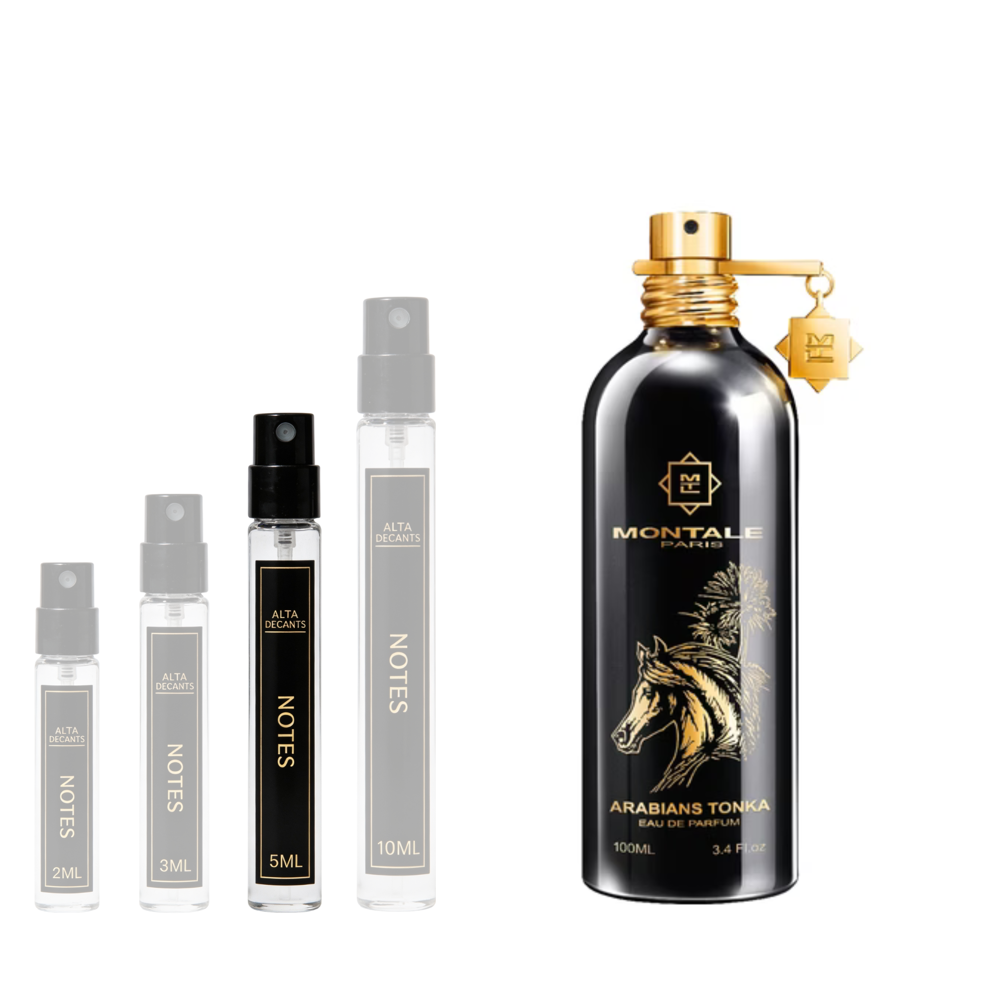 Montale Arabians Tonka