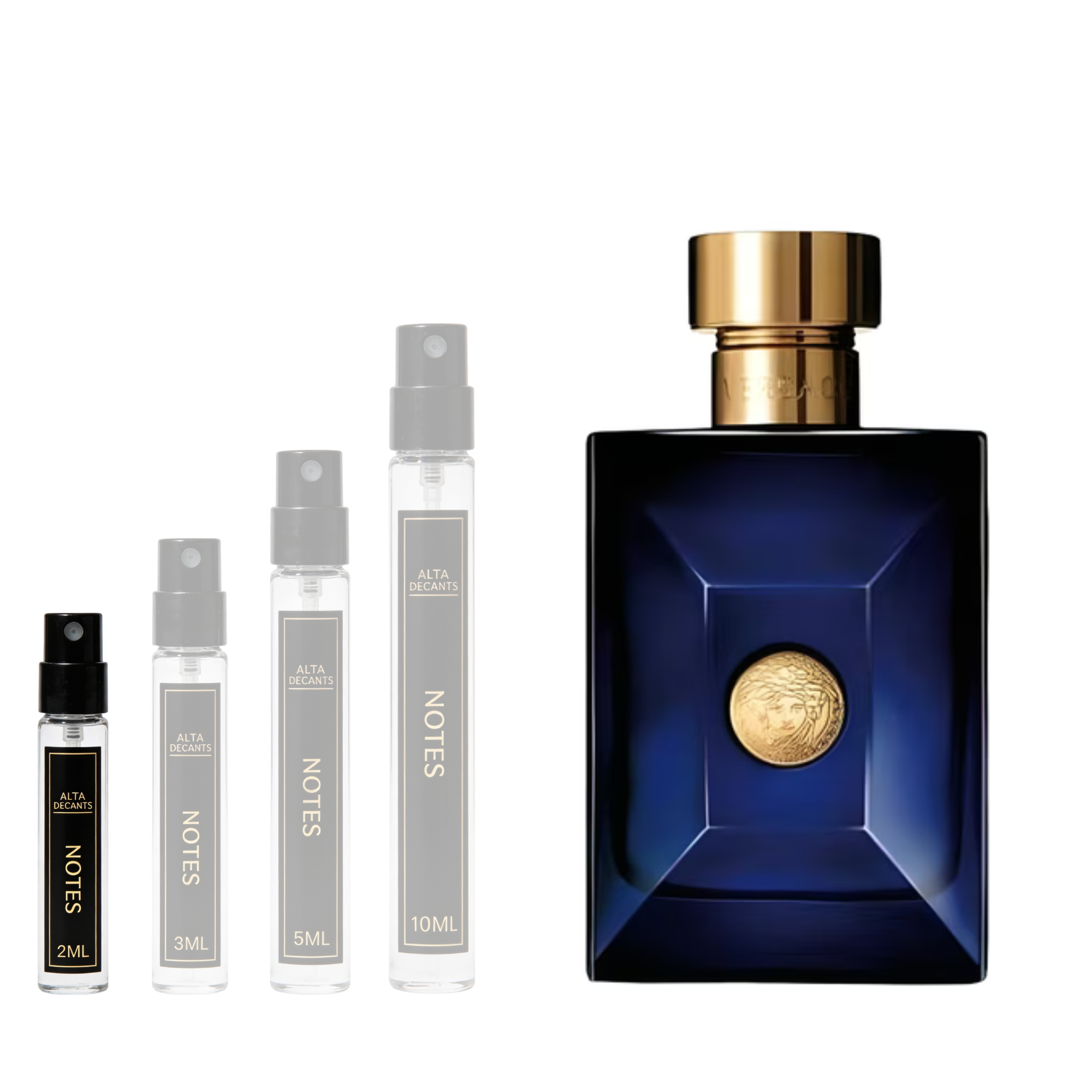 Versace Dylan Blue