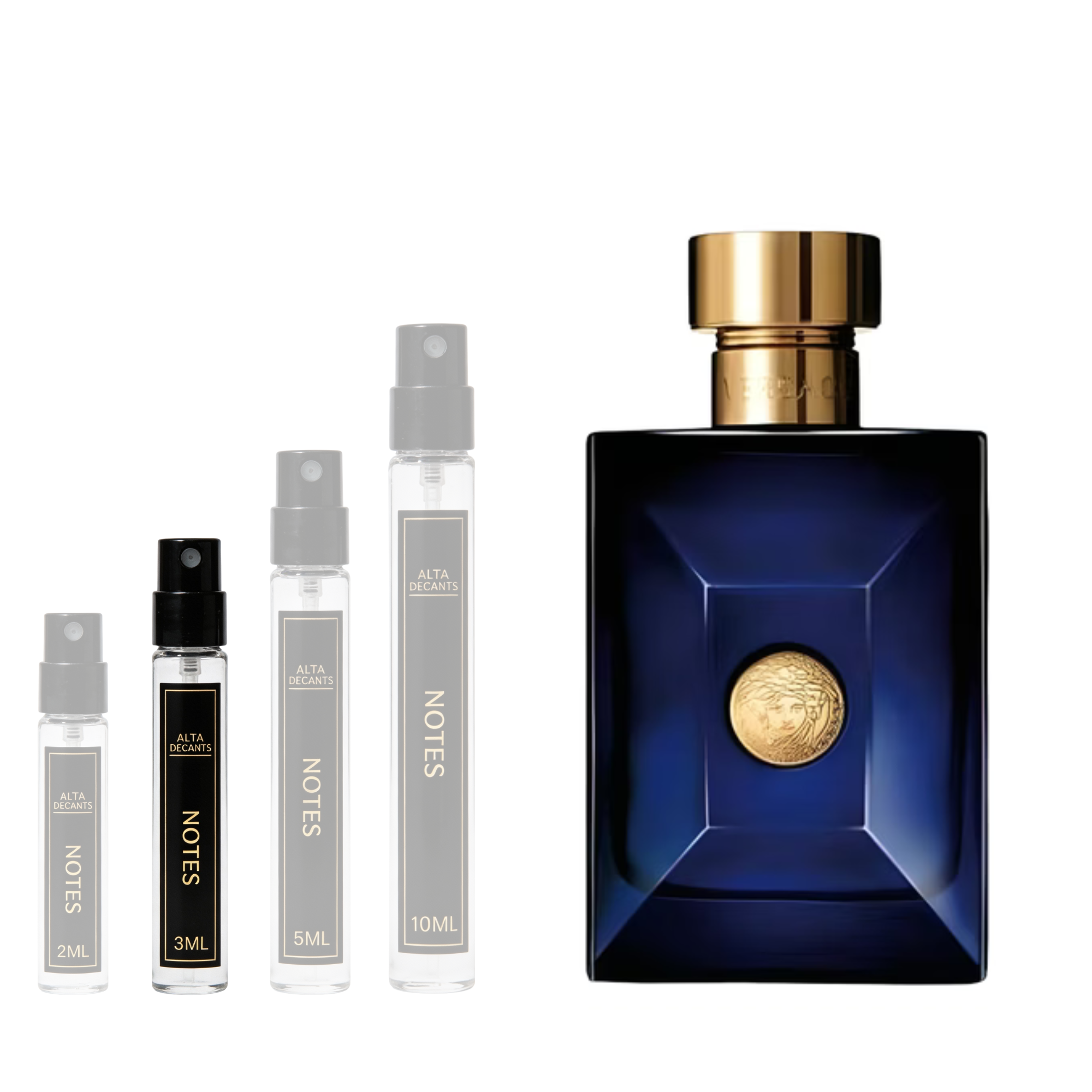 Versace Dylan Blue