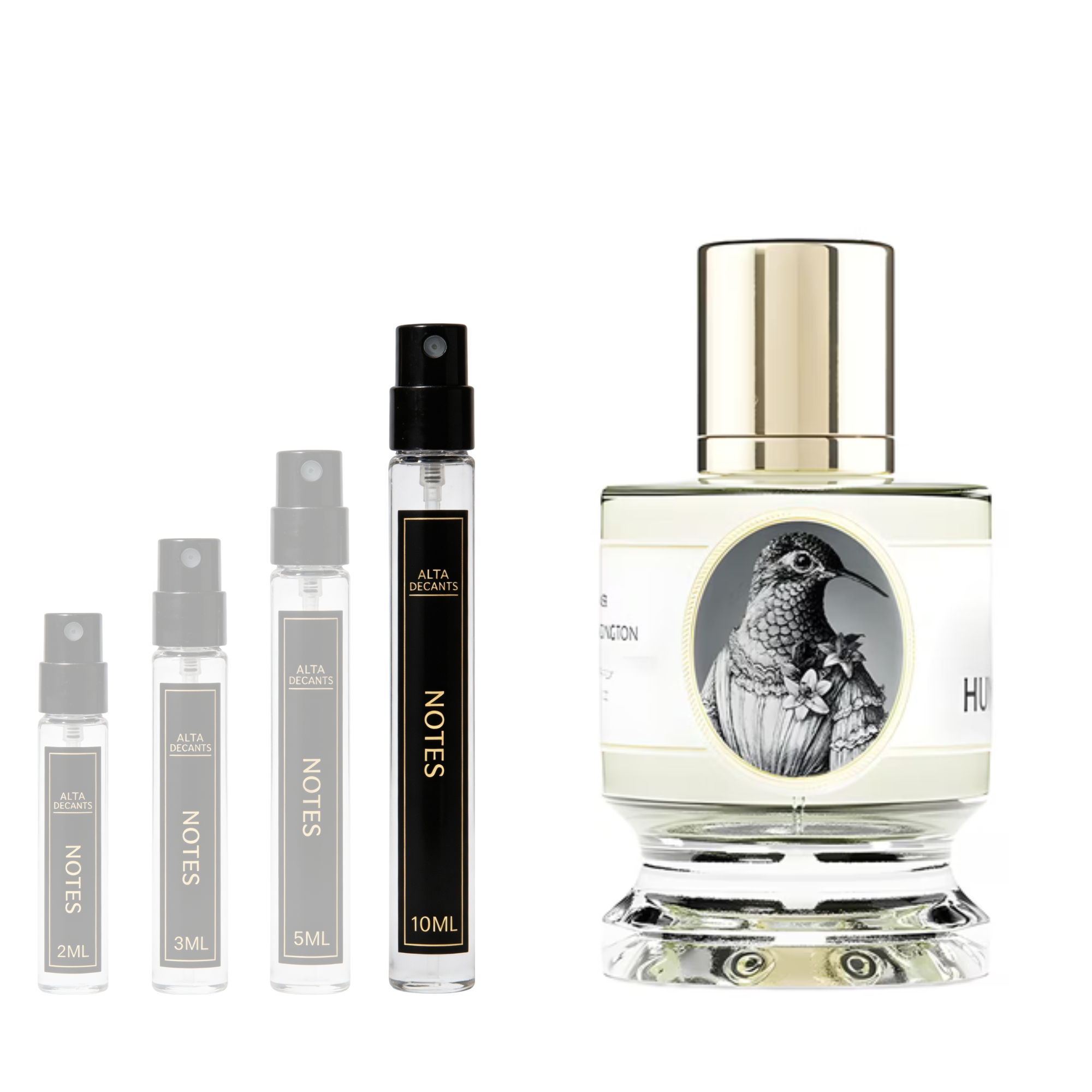 Zoologist Perfumes Hummingbird