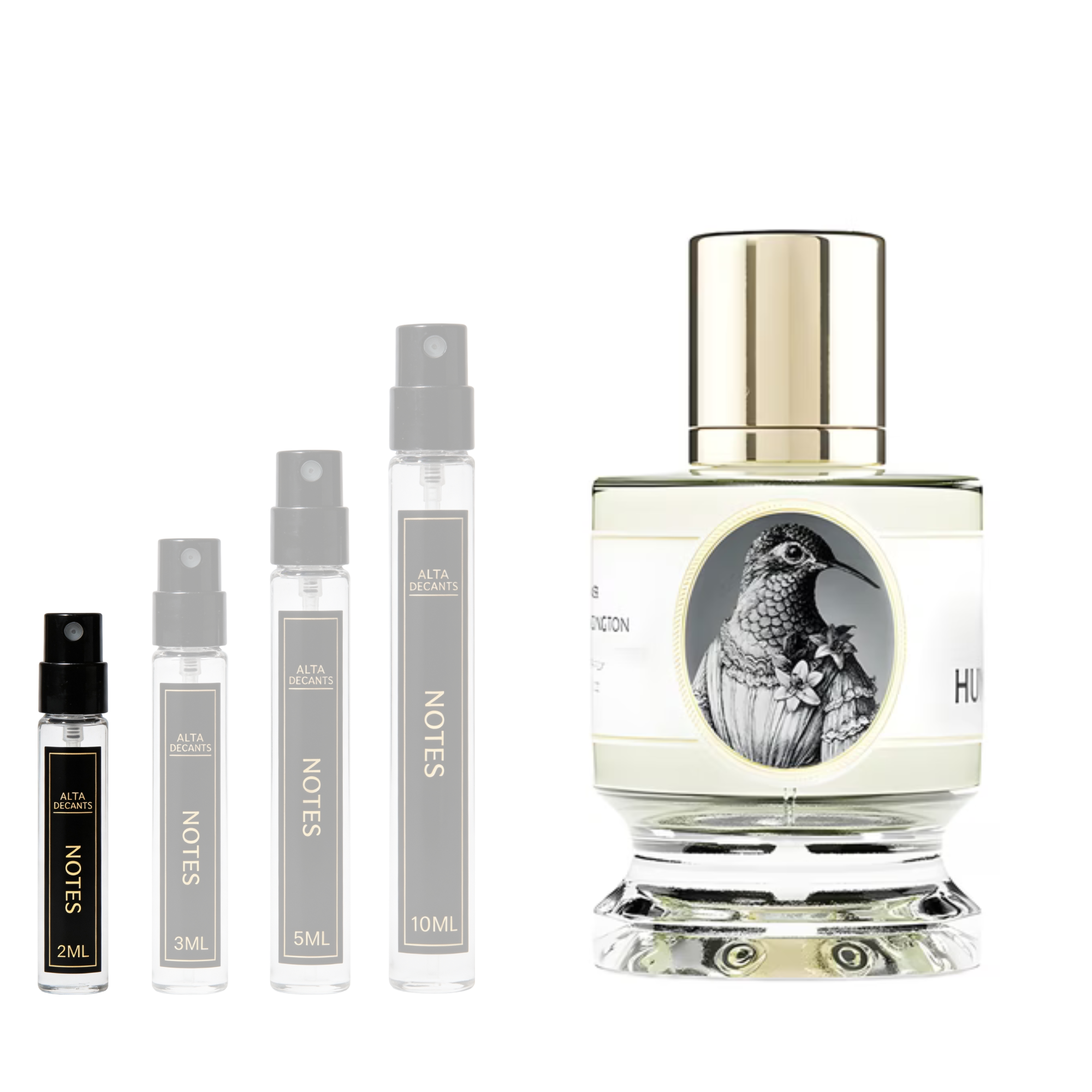 Zoologist Perfumes Hummingbird