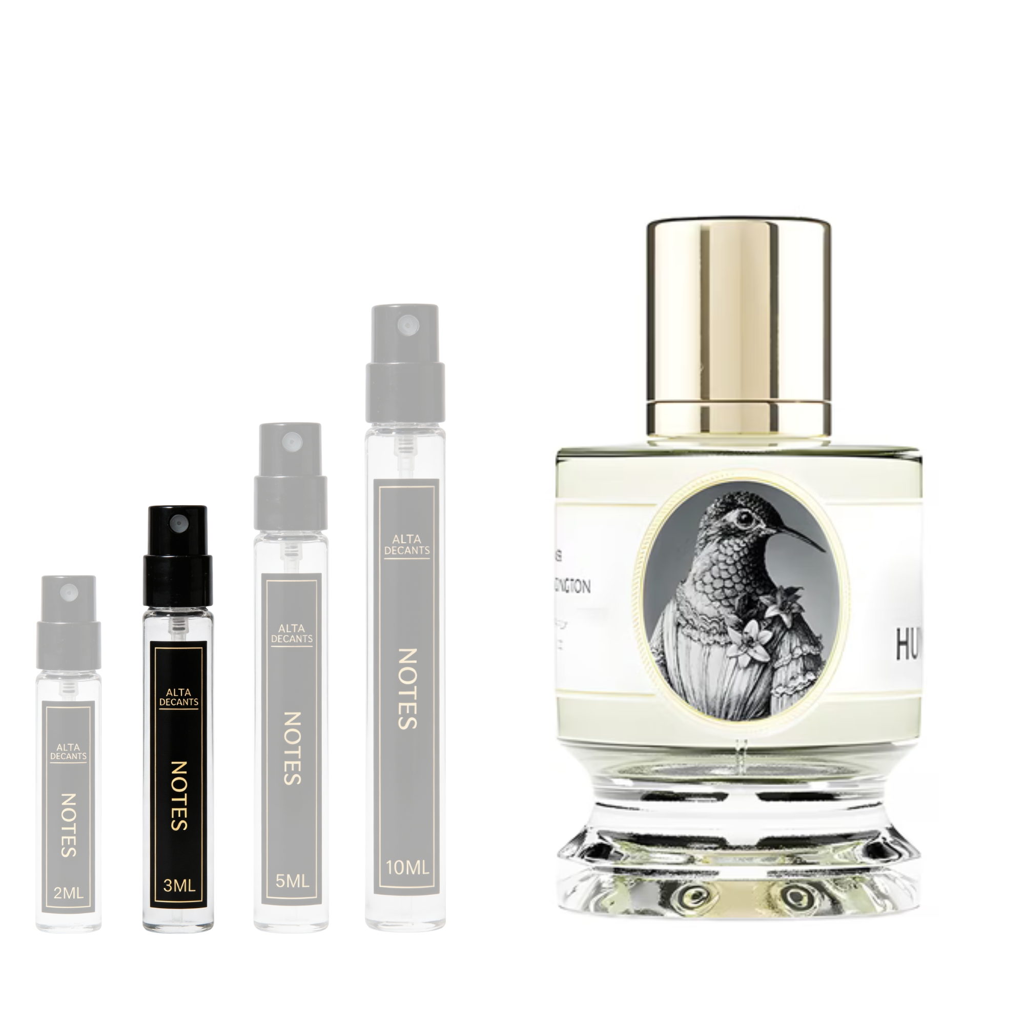 Zoologist Perfumes Hummingbird