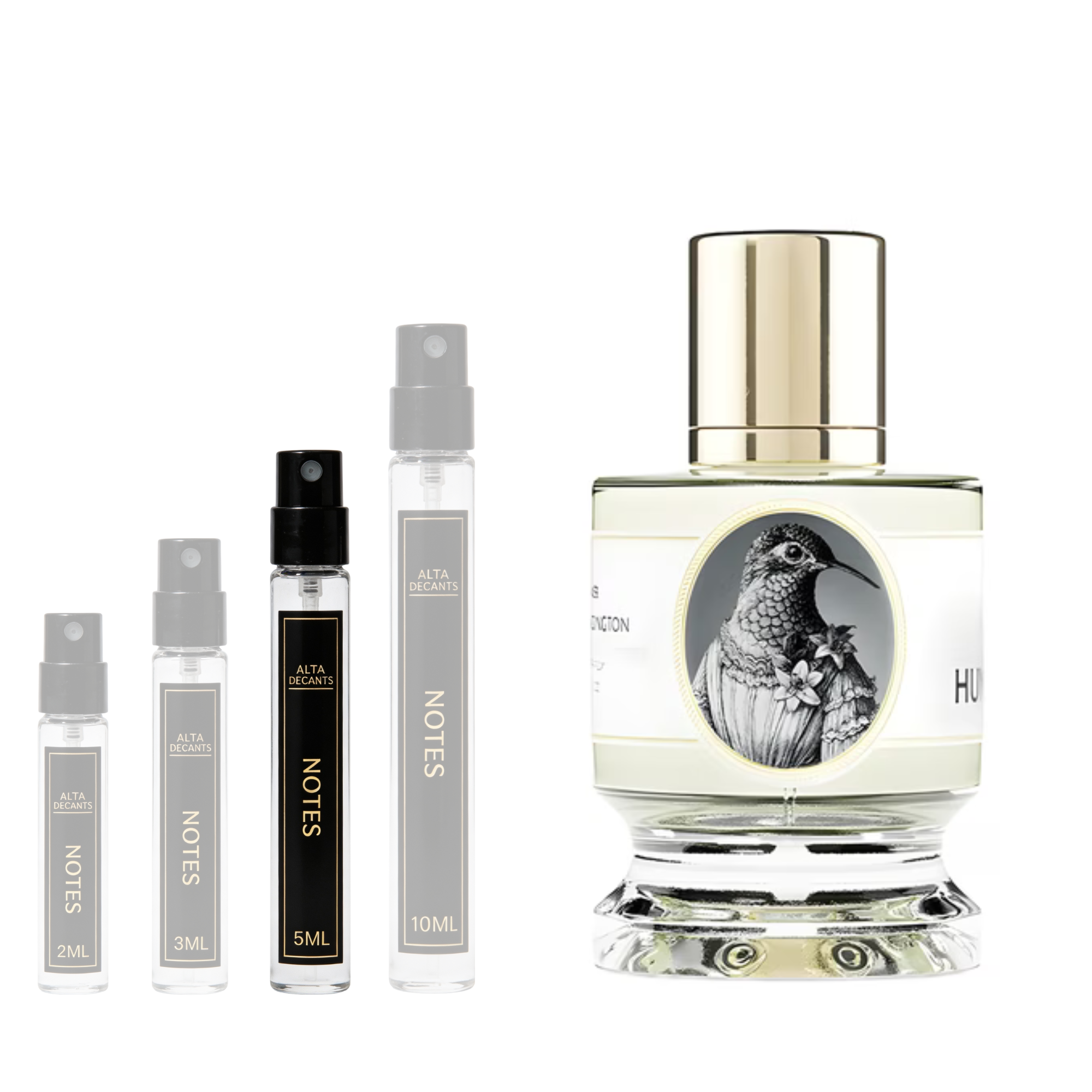 Zoologist Perfumes Hummingbird