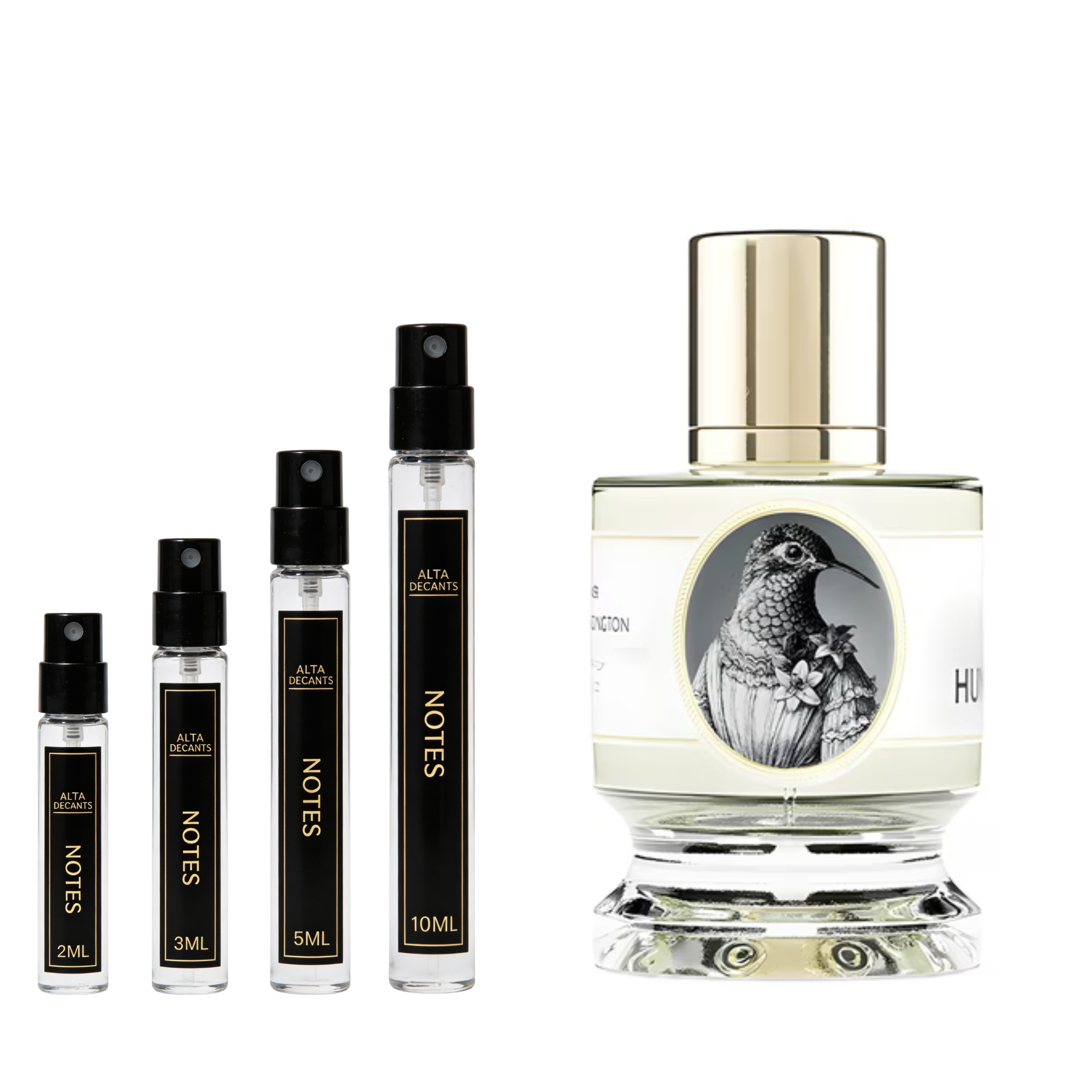Zoologist Perfumes Hummingbird
